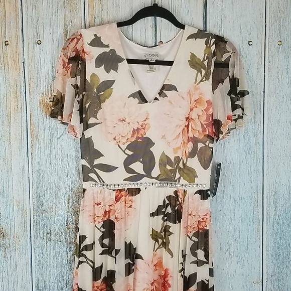 Enfocus Studio Dresses & Skirts - NWT ENFOCUS STUDIO FLORAL MAXI DRESS